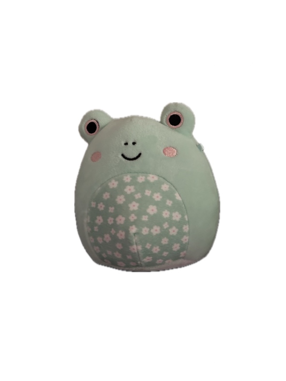 Fritz the Frog 5”